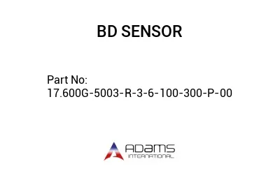 17.600G-5003-R-3-6-100-300-P-00