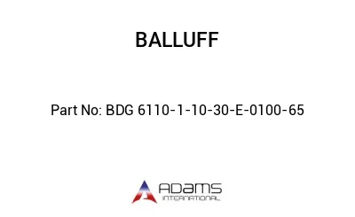 BDG 6110-1-10-30-E-0100-65									