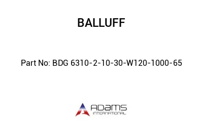 BDG 6310-2-10-30-W120-1000-65									