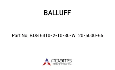 BDG 6310-2-10-30-W120-5000-65									