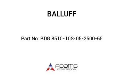 BDG 8510-10S-05-2500-65									