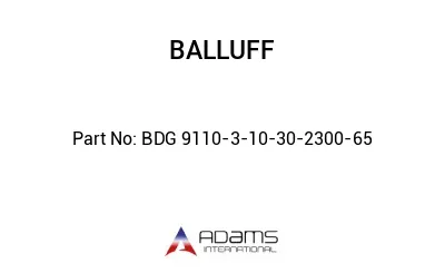 BDG 9110-3-10-30-2300-65									
