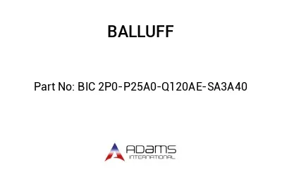 BIC 2P0-P25A0-Q120AE-SA3A40									