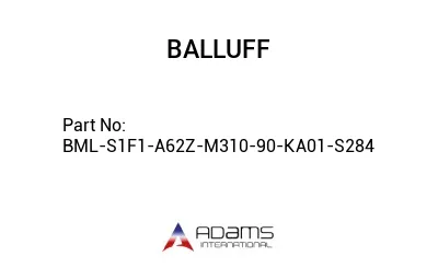 BML-S1F1-A62Z-M310-90-KA01-S284									