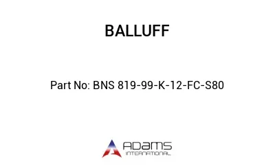 BNS 819-99-K-12-FC-S80