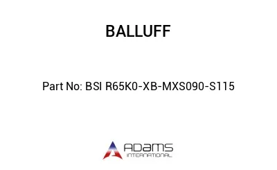 BSI R65K0-XB-MXS090-S115									